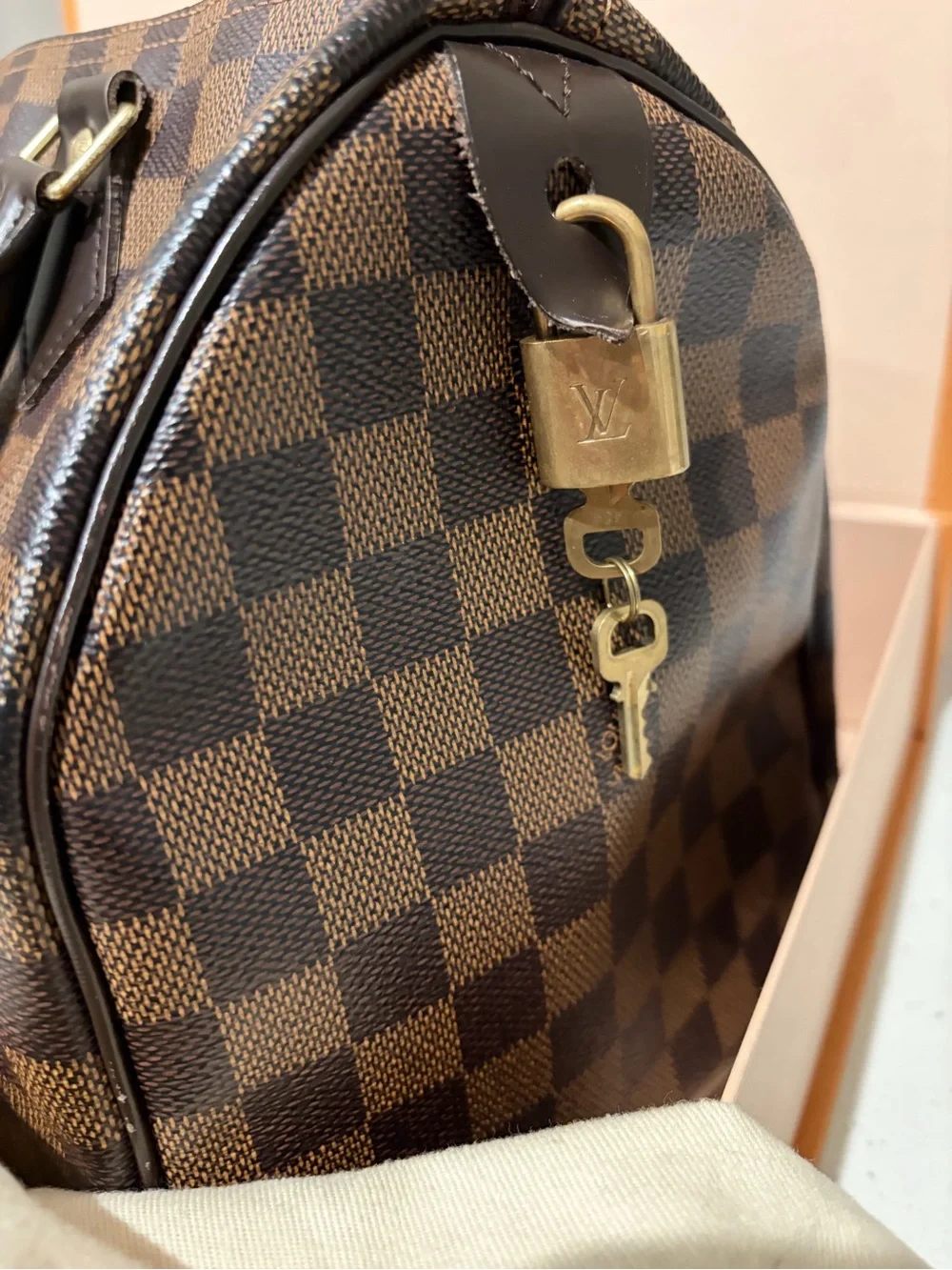 Louis Vuitton Brown Damier Ebene Speedy/Duffel Bag